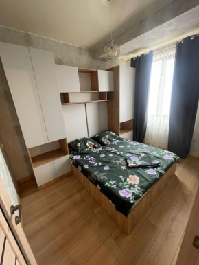 My Sweet Home in Rustavi city 15